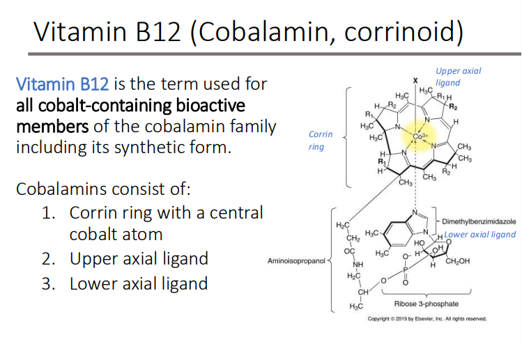 <ol><li><p>Corrin ring with a central cobalt atom</p></li><li><p>Upper axial ligand</p></li><li><p>Lower axial ligand</p></li></ol><p></p>