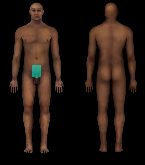 term image