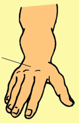 <p>what surface does this represent?</p>