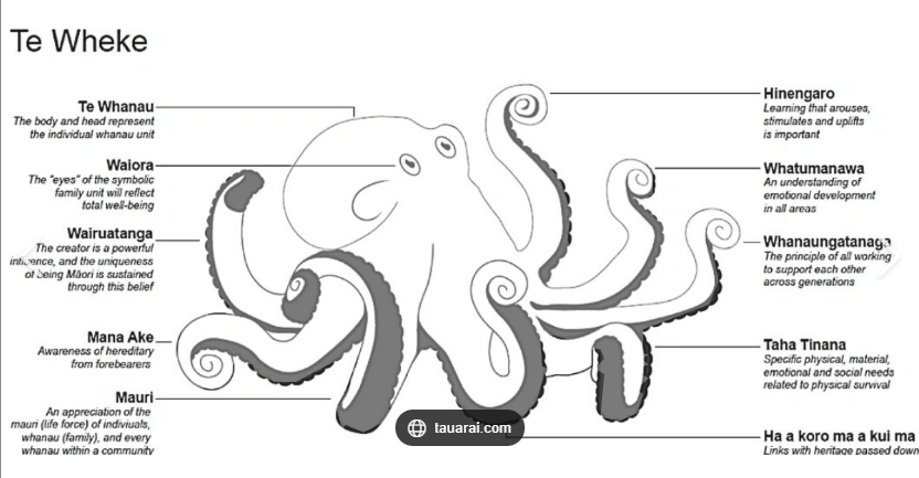 <p>It is a model that uses an octopus to represent the different central aspects of wellbeing</p>