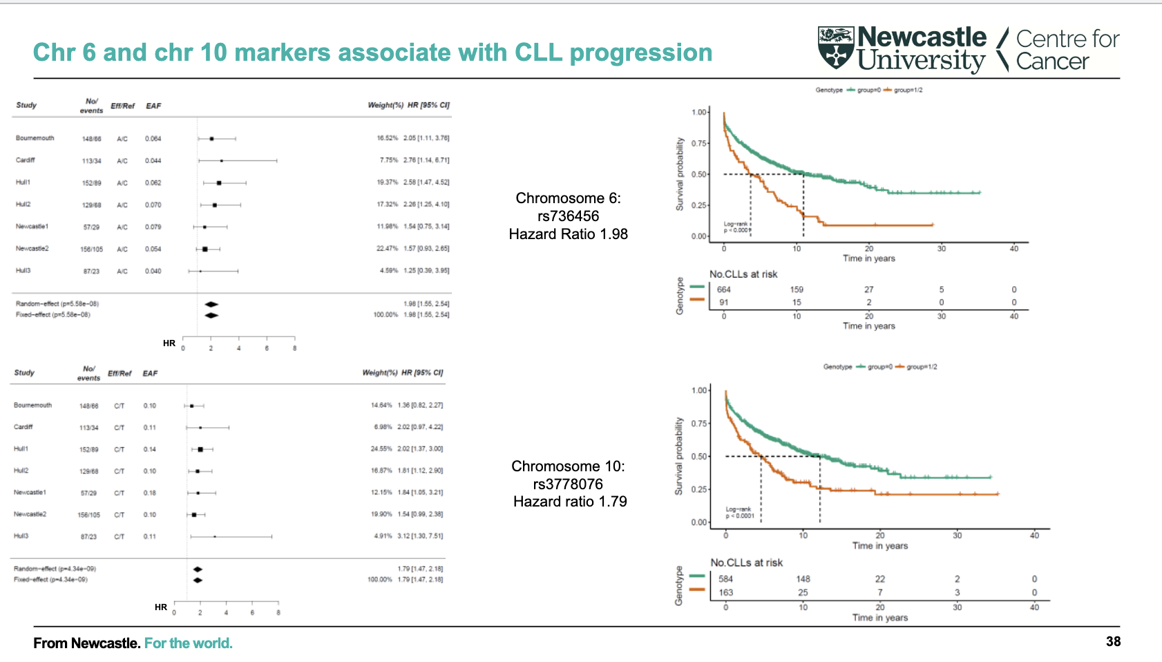 <ul><li><p>Specific genetic variants on <strong>chr6 (rs736456)</strong> and <strong>chr10 (rs3778076)</strong> are linked to CLL progression</p></li><li><p>These variants are associated with <strong>shorter survival / earlier need for treatment (worse prognosis)</strong></p></li><li><p>Effect size is moderate (<strong>hazard ratios ~1.8–2</strong>)</p></li><li><p>Findings are <strong>consistent across multiple cohorts</strong> (meta-analysis)</p></li><li><p>Supports use of <strong>inherited genetic markers to improve prognostic prediction</strong></p></li></ul><p></p>