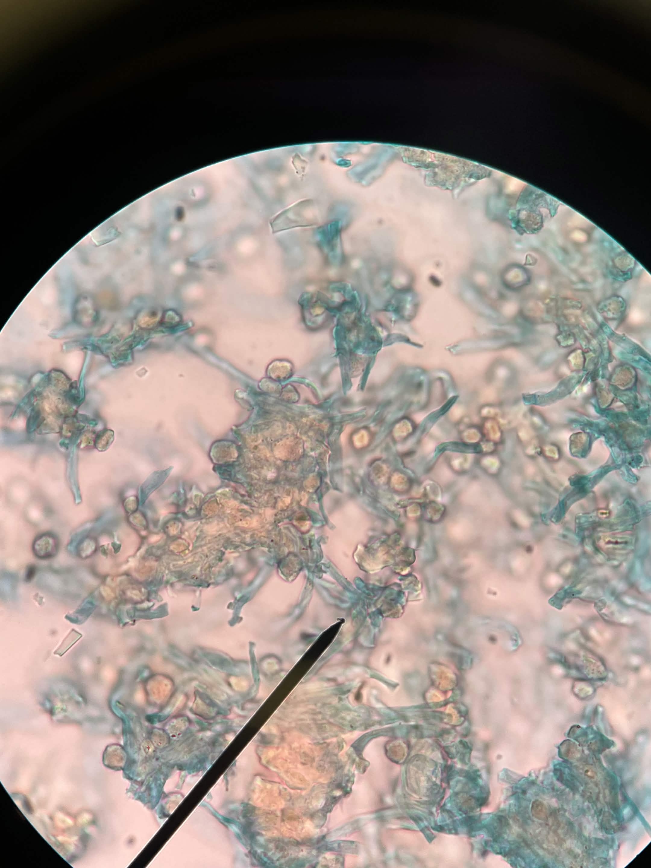 <p>What is this?</p>