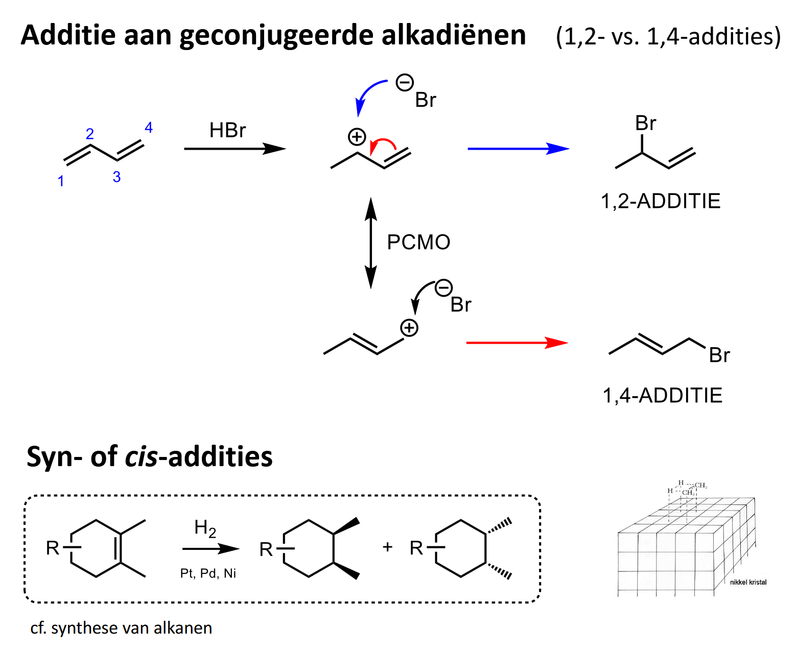 <p>p19</p><ul><li><p>H op (1) binden (stap extra uitschrijven !)</p></li><li><p>(+) op allylische positie (dus naast //) → via PCMO 2 uiterste mesomere vormen → Br- kan met ene of andere reageren → 1,2- of 1,4-additie</p></li><li><p>syn-/cis-additie?</p></li></ul><p></p>