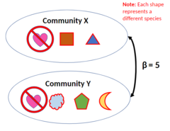 <p>Change in species composition between locations or communities.</p>