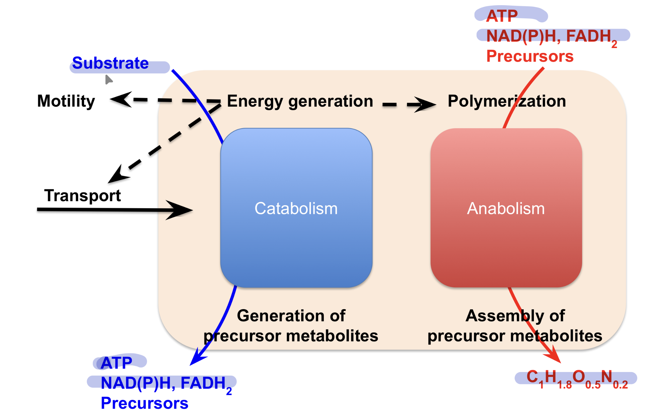 knowt flashcard image