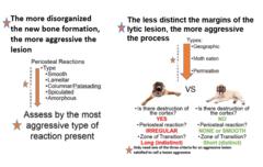 <p>Aaaaaaaand here's everything we covered. (I'll save you the trouble of reading her article inside the lecture. It DOES cover everything... but I would only recommend if you just really need it written in a different way)</p>