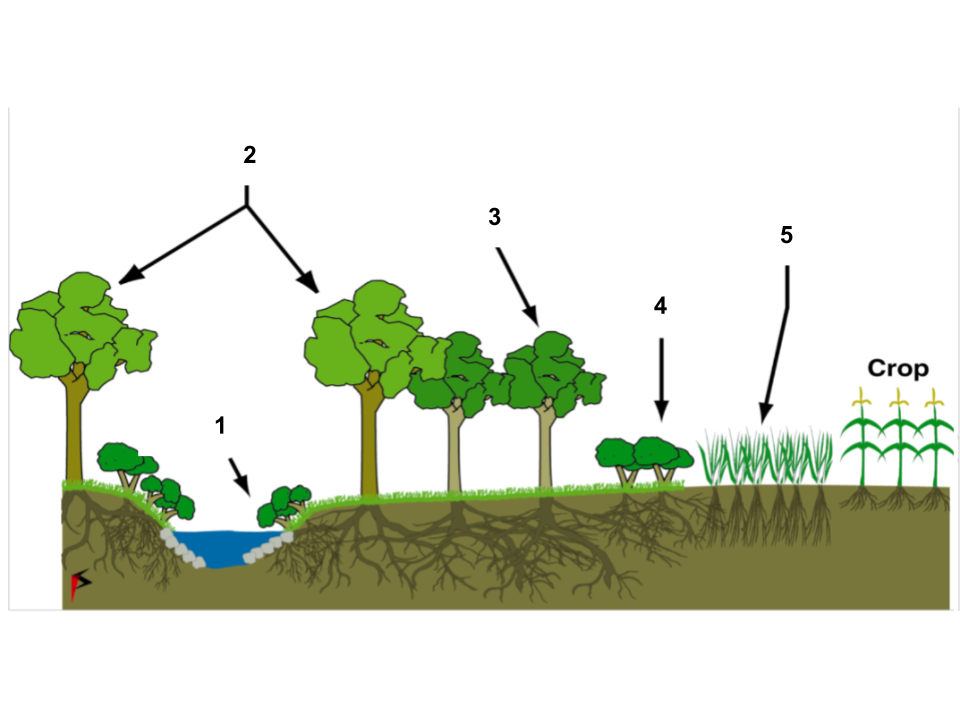 <p>1</p>
