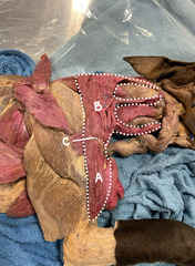 <p>What is B?</p>