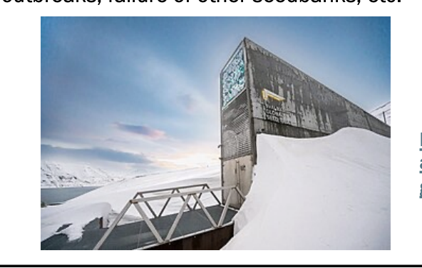 <ul><li><p>collections of seeds that are being stored and preserved to maintain genetic diversity and prevent extinctions. Note: not all seeds can be stored long-term.</p></li><li><p>Svalbard Global Seed Vault (Norway) v Stores seeds for important food crops from across the globe (duplicates efforts of other seed banks as a backup safeguard) v Goal: to protect world’s food supplies in face of disaster, war, climate change, disease outbreaks, failure of other seedbanks, etc.</p></li></ul><p></p>