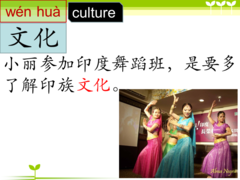 <p>culture (wénhuà)</p>