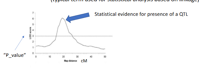 <p>(trying to) find the loci that affect a quantitative trait (the QTL) typical term used for statistical analysis based on linkage)</p>