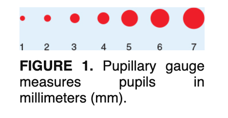 <p>1 mm to 7 mm</p>