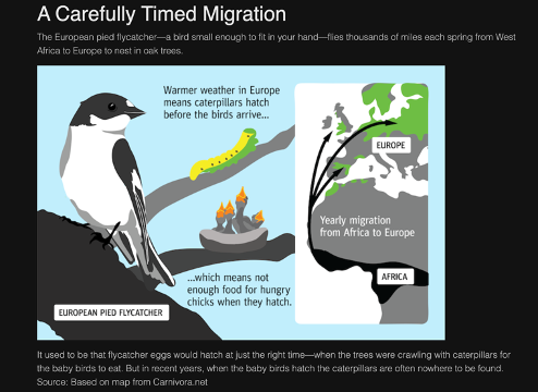 <p>How is global warming impacting the biosphere:</p><p class="MsoListParagraph"><span>-</span><span style="font-family: "Times New Roman"; line-height: normal; font-size: 7pt;">&nbsp;&nbsp;&nbsp;&nbsp;&nbsp;&nbsp;&nbsp;&nbsp;&nbsp;&nbsp;&nbsp;&nbsp;&nbsp; </span>Some examples:</p>