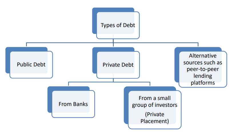 <p>Borrowed capital with fixed repayment obligations</p>