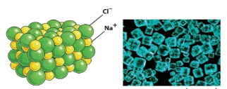 <p>name this bond</p>
