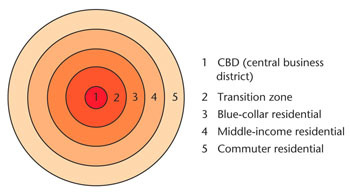 <p><span>An urban model that describes cities as a series of concentric rings or zones, with different functions and characteristics in each zone.</span></p>