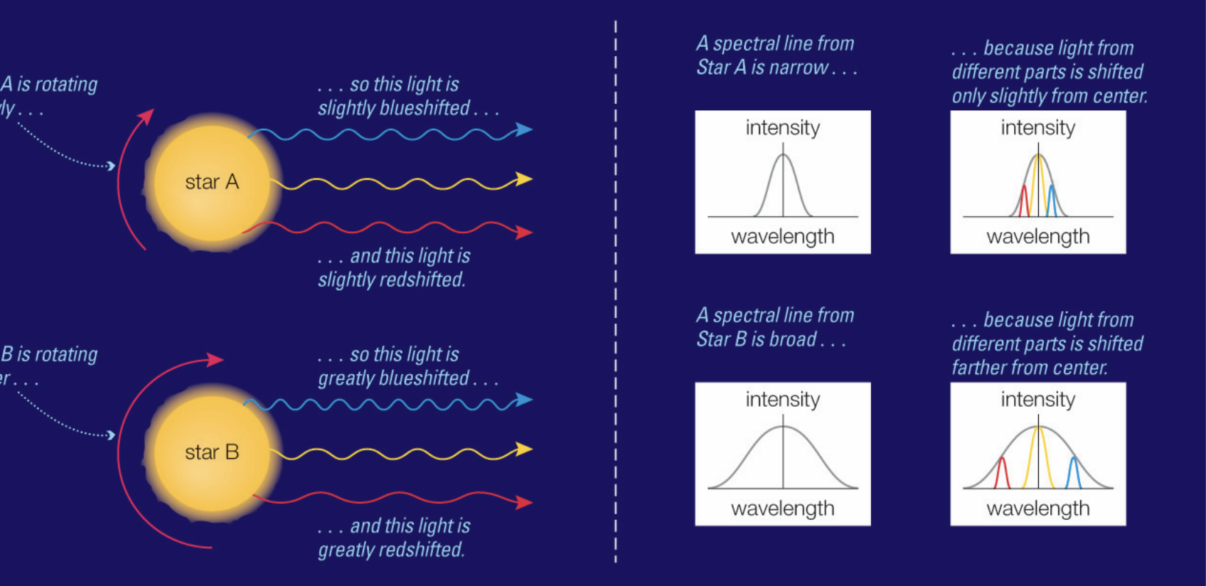 <p>• Different Doppler shifts from different sides of a rotating object spread out its spectral lines. </p><p>• Spectral lines are wider when an object rotates faster.</p>