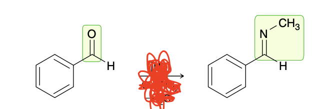 <p>aldehyde to imine</p>