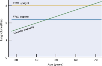<p><span>•An ↑ in lung compliance impairs V/Q matching, ↑physiological shunt, and ↓ O2 exchange at alveolar level</span></p><p><span>•Elastic recoil is necessary for maintaining small airway diameter</span></p><p><span>•Increased lung compliance à small airway diameter decreases and closing volumes are increased</span></p><p><span>•<u>Closing Volume</u> is the lung volume towards the end of a forced expiration.</span></p><p><span>•<u>Closing Capacity</u> is the lung volume at which small airway closure in the dependent lung begins</span></p><p><span>•<strong>CC= CV + RV</strong></span></p><p><span>•Closing volume (CV) > FRC at age 65 in sitting position</span></p><p><span>• Pa O2 declines d/t premature closing of small airways &amp;</span></p><p><span>•decrease in alveolar surface area</span></p><p><span>•CC > FRC at age 45 in supine position</span></p>