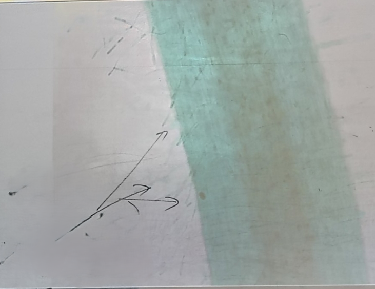 <p>Pointing at </p><ol><li><p>cell</p></li><li><p>specialized </p></li><li><p>zone of </p></li></ol><p></p>