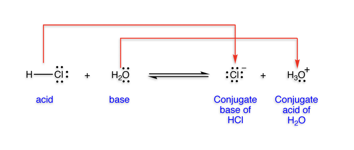<ul><li><p>Acid: substance that can donate a proton</p></li><li><p>Base: substance that can accept a proton</p></li><li><p>Water is amphoteric; it acts either as an acid or base</p></li></ul><p></p>