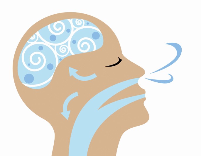 <p>The air taken in or expelled from the lungs; a vital part of respiration. An image typically depicting a person exhaling or inhaling.</p>