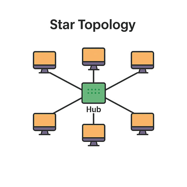 <p>Each node is connected to a central point, called a network switch. It’s robust, however the network depends on the central point’s functionality. If the central point fails, then the entire network fails. It’s very common for home networks. Typically within a LAN.</p>
