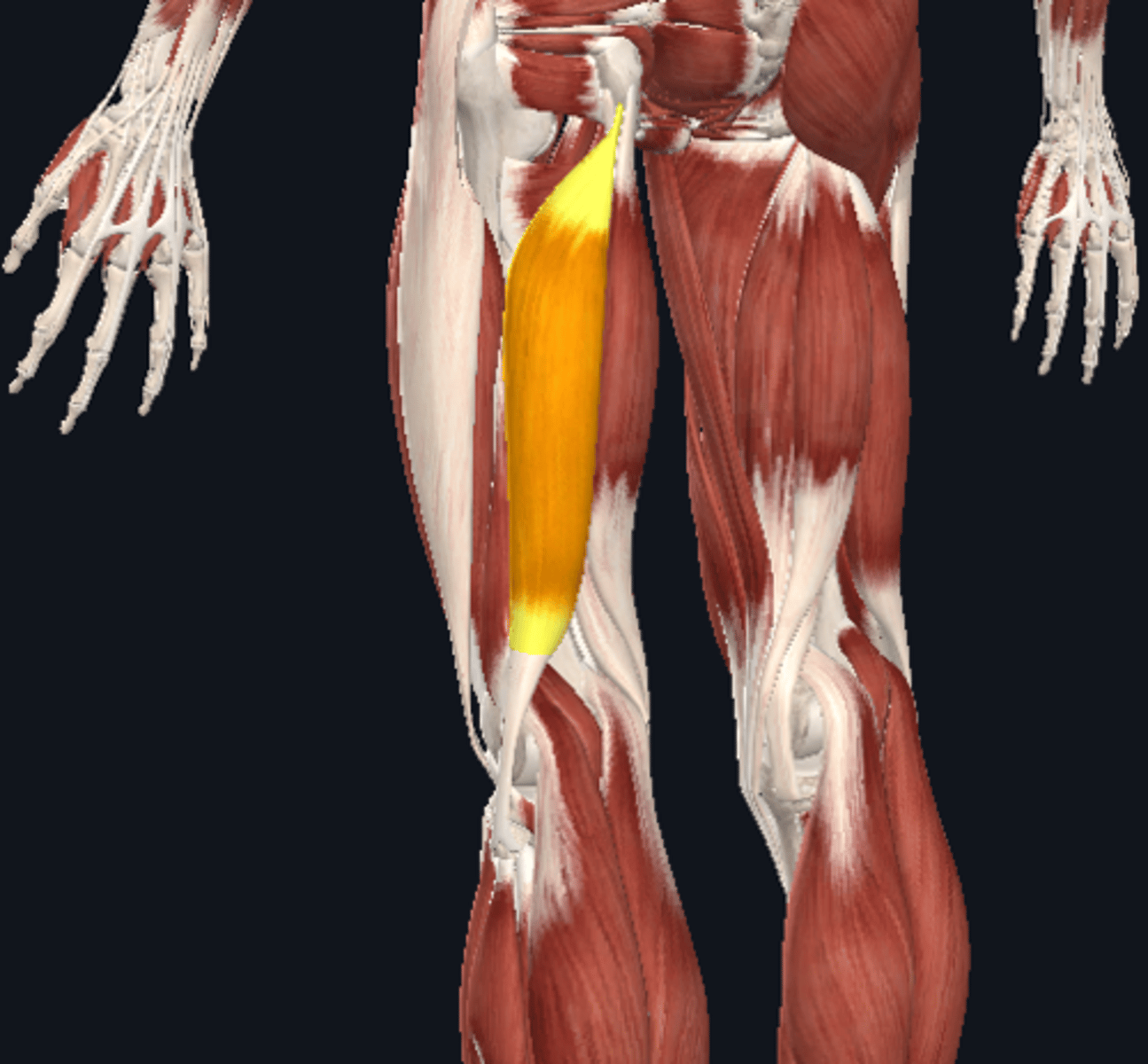 knowt flashcard image