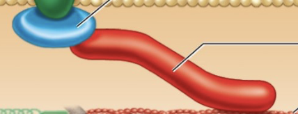 <p>What is this?</p>