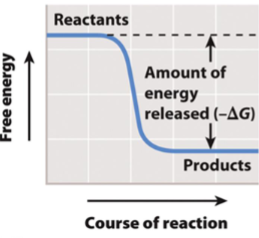 <p>The ____ in energy (Delta G) is equal to Final State-Initial State.</p>