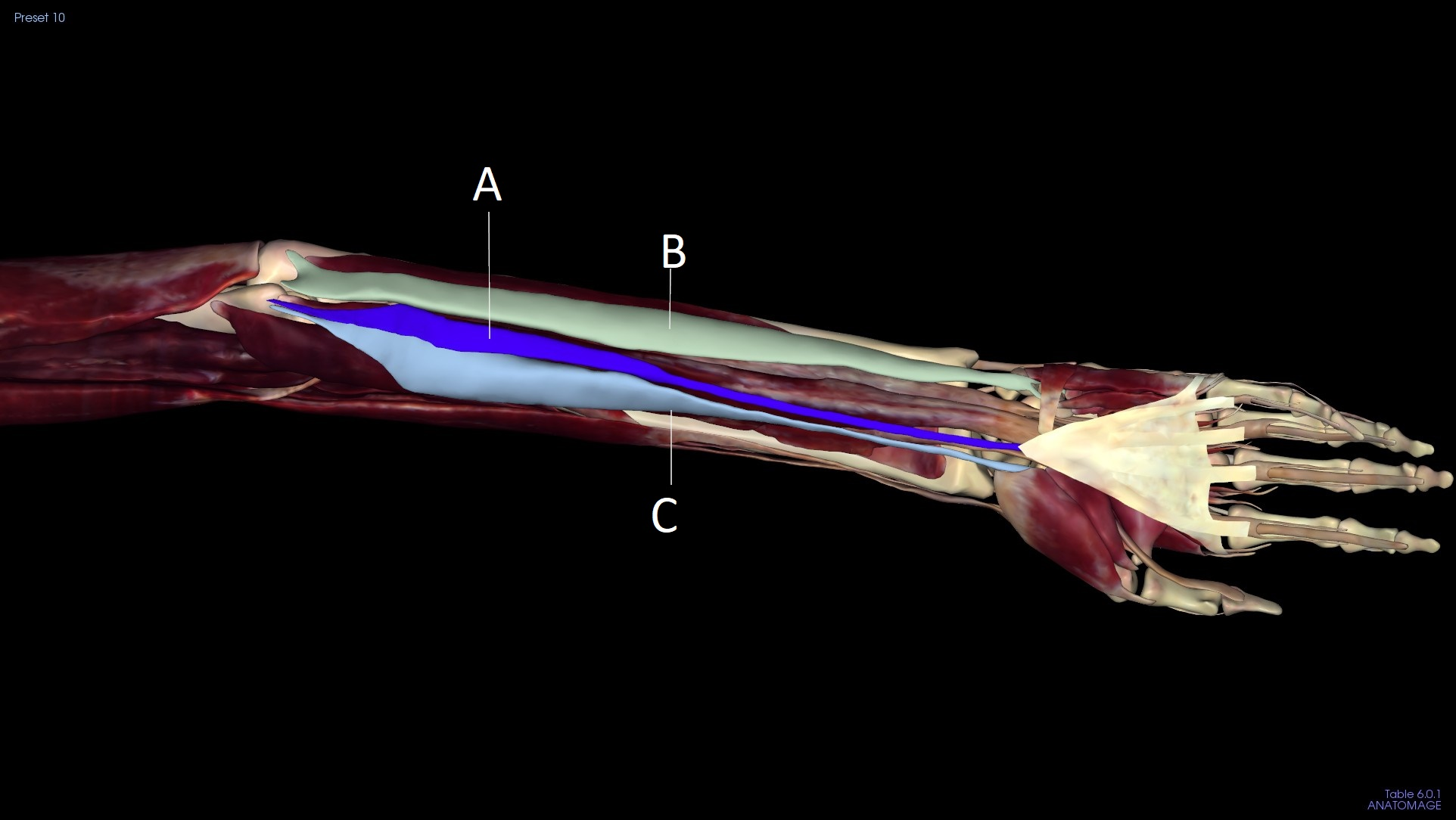 <p>B</p>