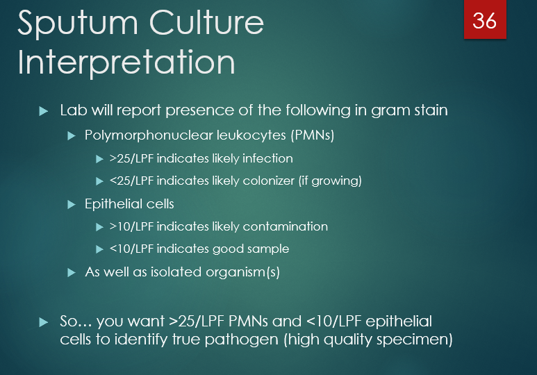 <p>PMN:</p><p>>25/ LPF  = likely infection</p><p><25/ LPF= likely colonizer</p><p></p><p>Epithelial:</p><p>>10/LPF = likely contamination</p><p><10 /LPF = goodsample</p><p></p><p><span style="font-family: "Wingdings 3";">u</span><span style="font-family: "Century Gothic";">So… you want >25/LPF PMNs and <10/LPF epithelial cells to identify true pathogen (high quality specimen)</span></p><p></p>
