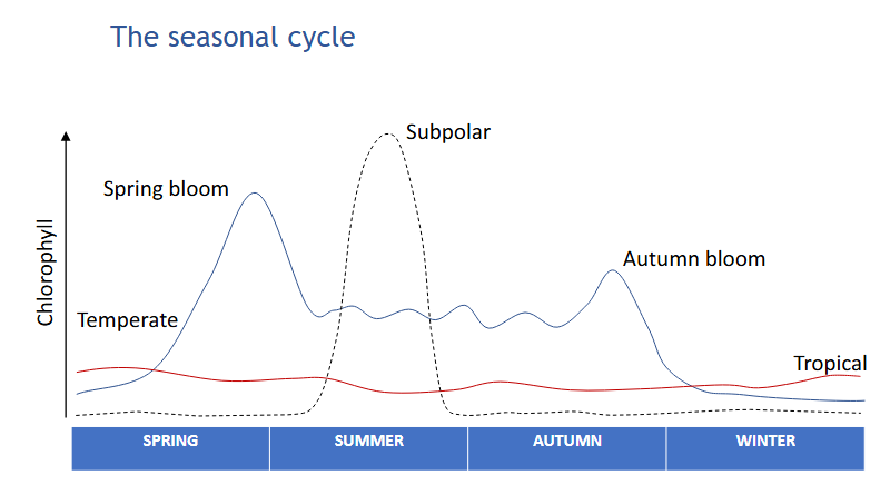 <p>Chlorophyl levels are extremely low all year until summer where there is a large bloom </p>