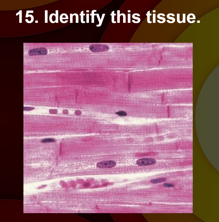 term image