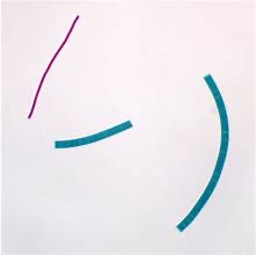 <p>The cyanobacteria formulates long, skinny rectangular strips</p>