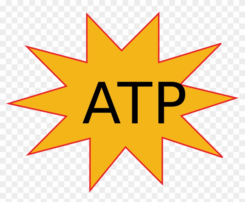 <p>How many molecules of <strong>ATP </strong>are generated in <strong>fermentation</strong>?</p>
