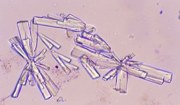 <p>What type of crystal is this?</p>
