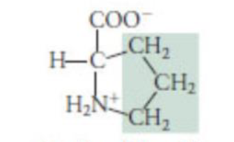 <p>hydrophobic</p>