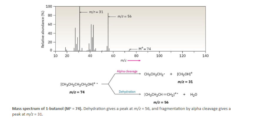 <p>Alcohols often lose H2O during mass spec, this is called dehydration.</p><ul><li><p>Molecular ion (M⁺) = 74</p></li><li><p>Dehydration peak = m/z 56</p></li><li><p>Alpha cleavage fragment = m/z 31</p></li></ul><p></p>