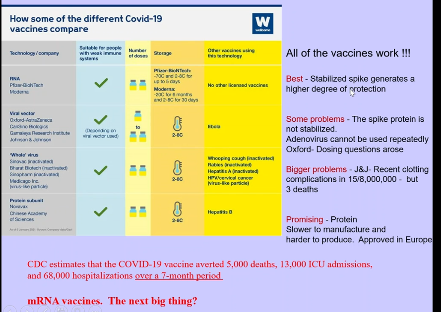 <ul><li><p>viral vector → nonmutated, so virus had tendency to go into post fusion conformation when isolated, when binding to ACE2, etc</p></li><li><p>adenovirus → majority of people have been infected with this type of virus, so antibodies already present/made towards the virus, getting rid of it, leading to less persistence </p><ul><li><p>unstable conformation → post fusion spike</p></li></ul></li><li><p>RNA encoding spike</p><ul><li><p>pre-fusion conformation </p></li></ul></li><li><p></p></li></ul><p></p>
