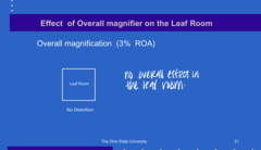 <p>Does overall magnification (3% ROA) lead to distortions in the leaf room?</p>