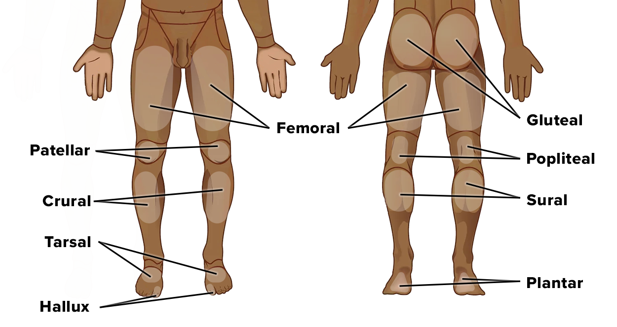 <p>The toes!! </p>