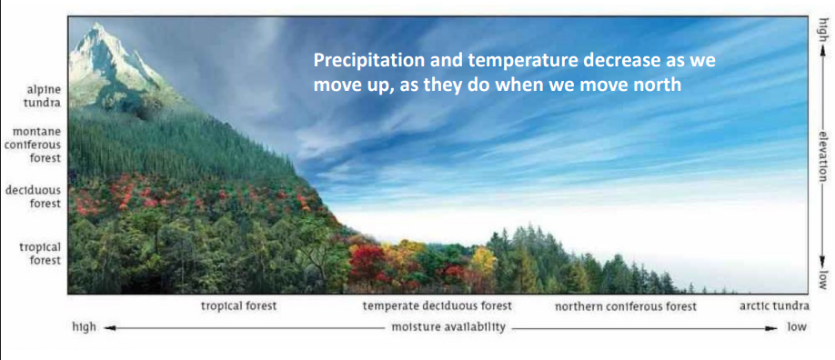 <p>Mountainous areas </p>