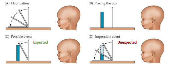 <p>Expectation: object is solid</p>