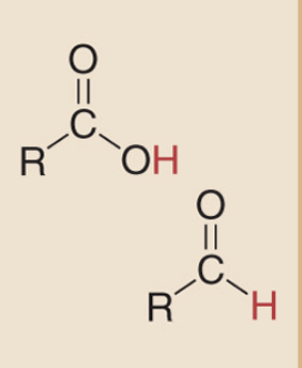 <p>Carboxyllic acid (stump) or Aldehyde (sharp)</p>