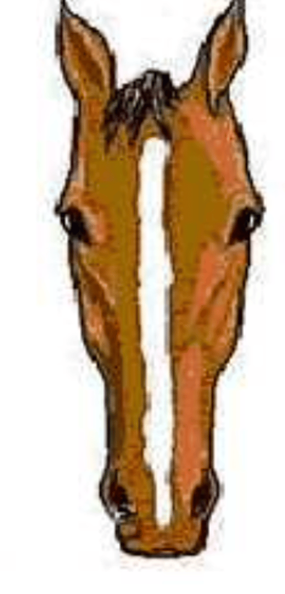 <p>afwijking </p>