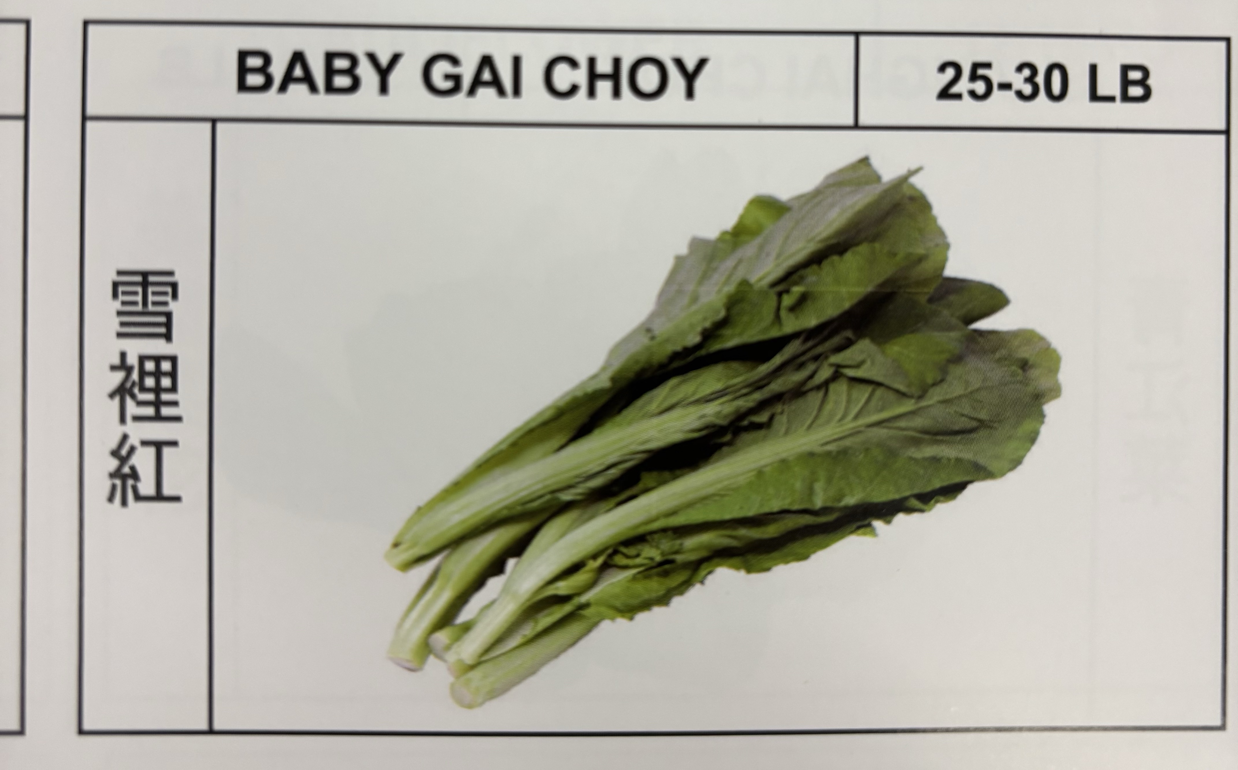 <p>BABY GAI CHOY</p>