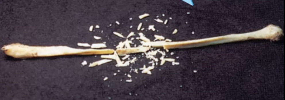 <p>Collagen fibers are destroyed and the bone is brittle after cooking</p>