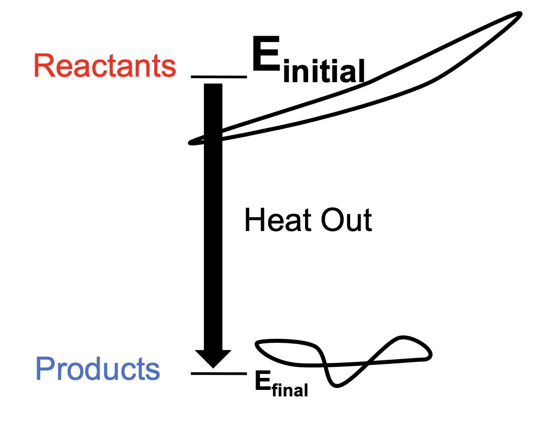 <ul><li><p>Heat energy released by system (causing the system to warm)</p></li><li><p>(Change of H) < 0</p></li><li><p>Enthalpically favorable</p><ul><li><p>High to low (Preferred by nature)</p></li><li><p>Good for system</p></li></ul></li></ul><p></p>