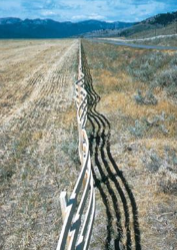 <p>What disaster is this?</p>